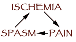 Pain - Spasm - Ischemia cycle