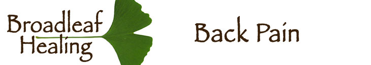 Back Pain Header